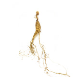 KiwiSeng Premium Dry Panax Ginseng | Wild-Grown New Zealand Organic Ginseng Root | Certified BioGro NZ | Hand-Harvested Limited Edition Gift - KiwiSeng