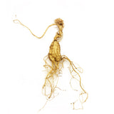 KiwiSeng Premium Dry Panax Ginseng | Wild-Grown New Zealand Organic Ginseng Root | Certified BioGro NZ | Hand-Harvested Limited Edition Gift - KiwiSeng