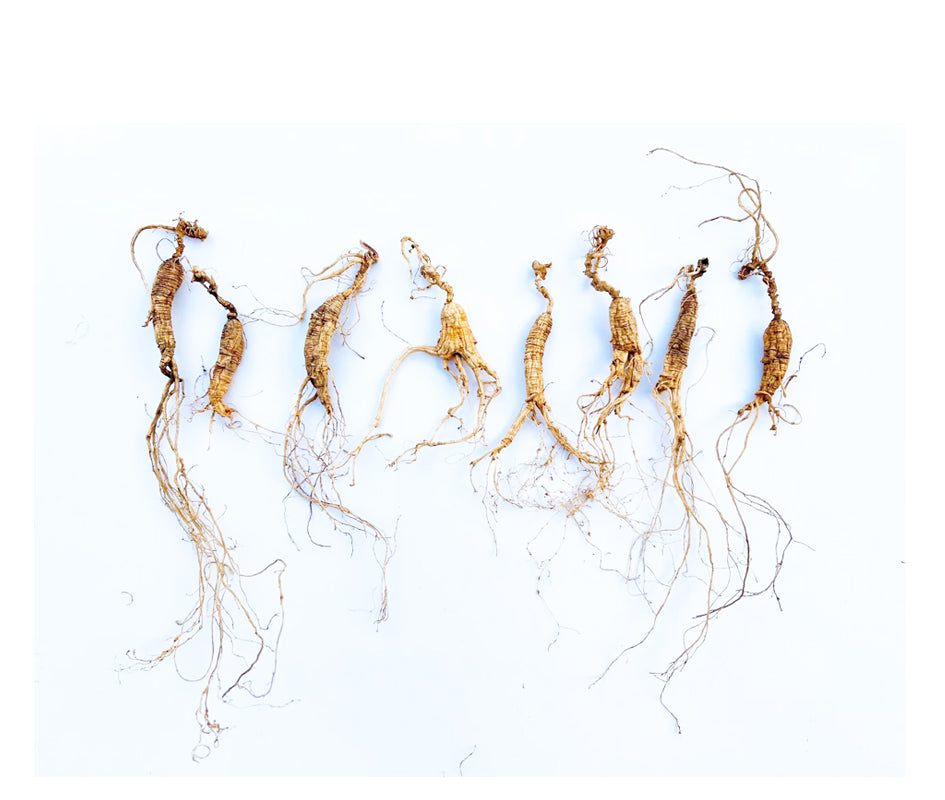 18th Anniversary Special Collection Gift Pack - KiwiSeng