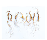 18th Anniversary Special Collection Gift Pack - KiwiSeng