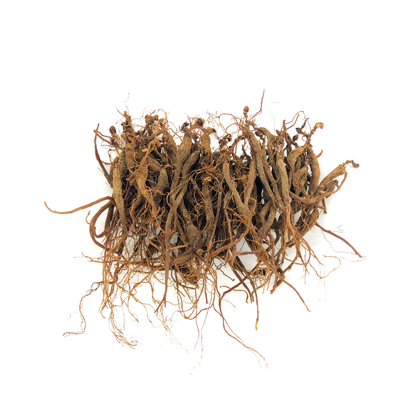 KiwiSeng Red Ginseng Value Pack | Wild-Grown 15+ Year New Zealand Panax Ginseng | Certified Organic by BioGro NZ | Natural Wellness Tonic - KiwiSeng