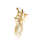 KiwiSeng Dry Panax (Asian) Ginseng | Wild-Grown 15+ Year New Zealand Organic Ginseng Root | Certified by BioGro NZ | Hand-Harvested Premium Gift Edition - KiwiSeng