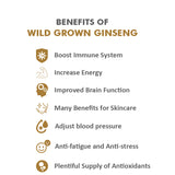 KiwiSeng Dry Panax (Asian) Ginseng | Wild-Grown 15+ Year New Zealand Organic Ginseng Root | Certified by BioGro NZ | Hand-Harvested Premium Gift Edition - KiwiSeng