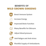 Red Ginseng Value Pack
